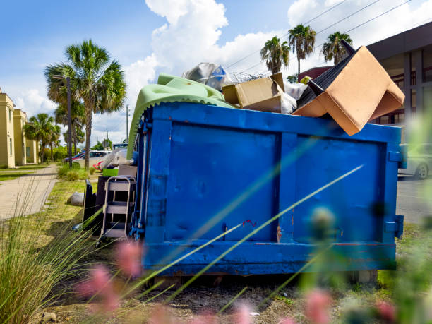 Basement Cleanout Services in Trinity, FL